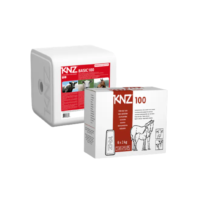 Huvudbild Saltsten KNZ 100 Basic
