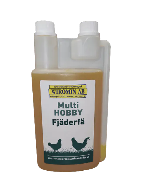 Huvudbild MultiHOBBY 