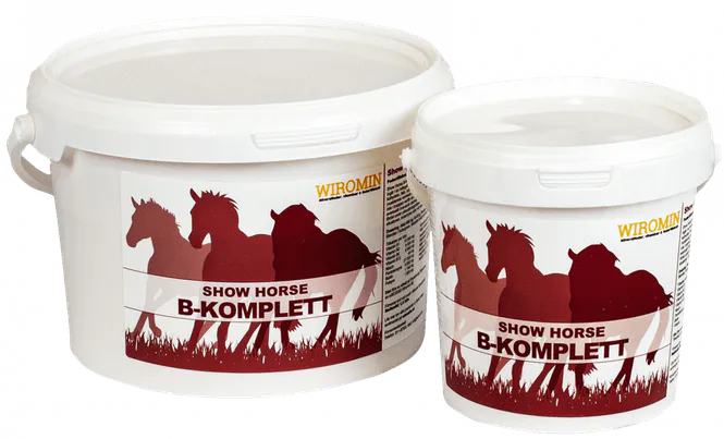 Huvudbild Show Horse B-Komplett